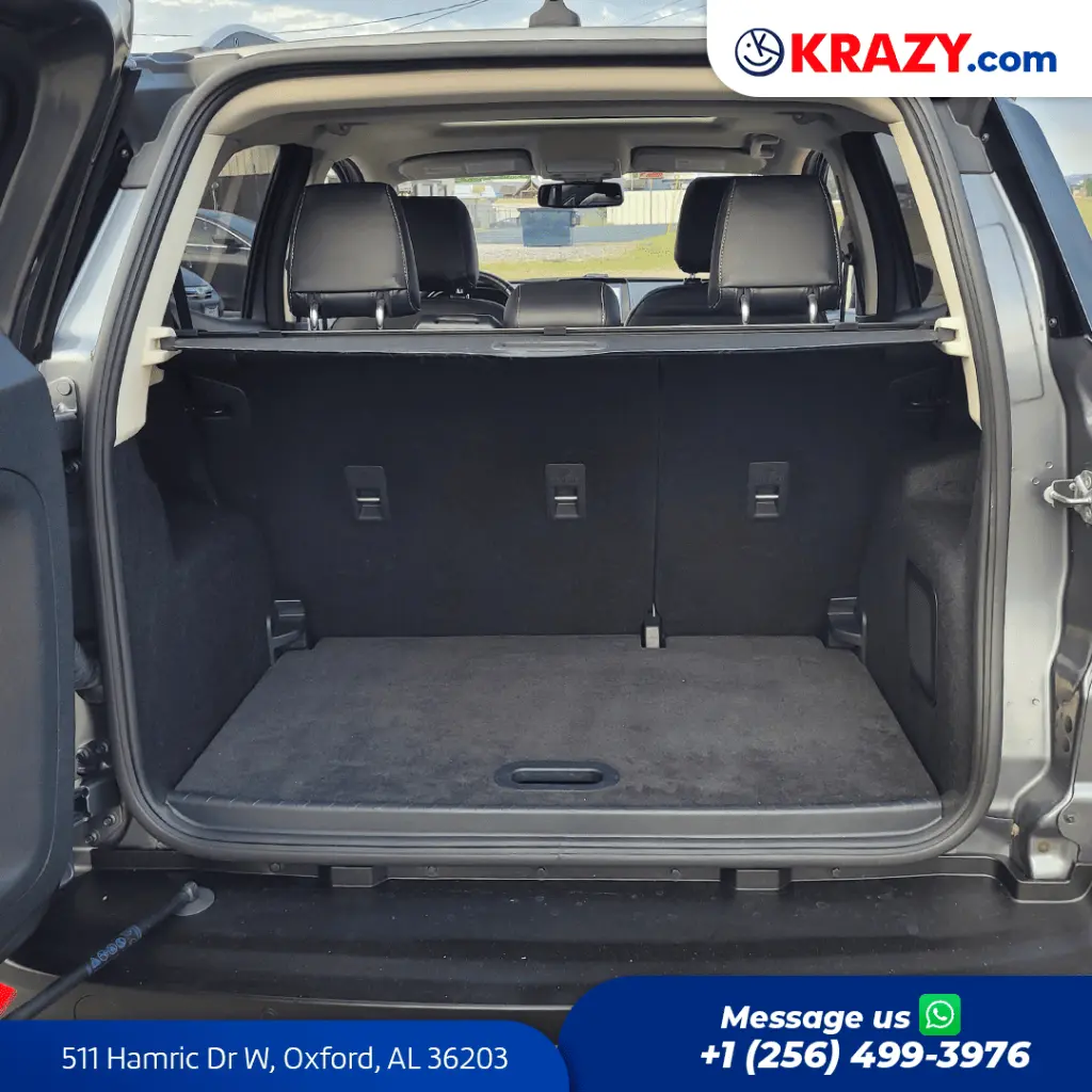 2305_4.1 Trunk.webp