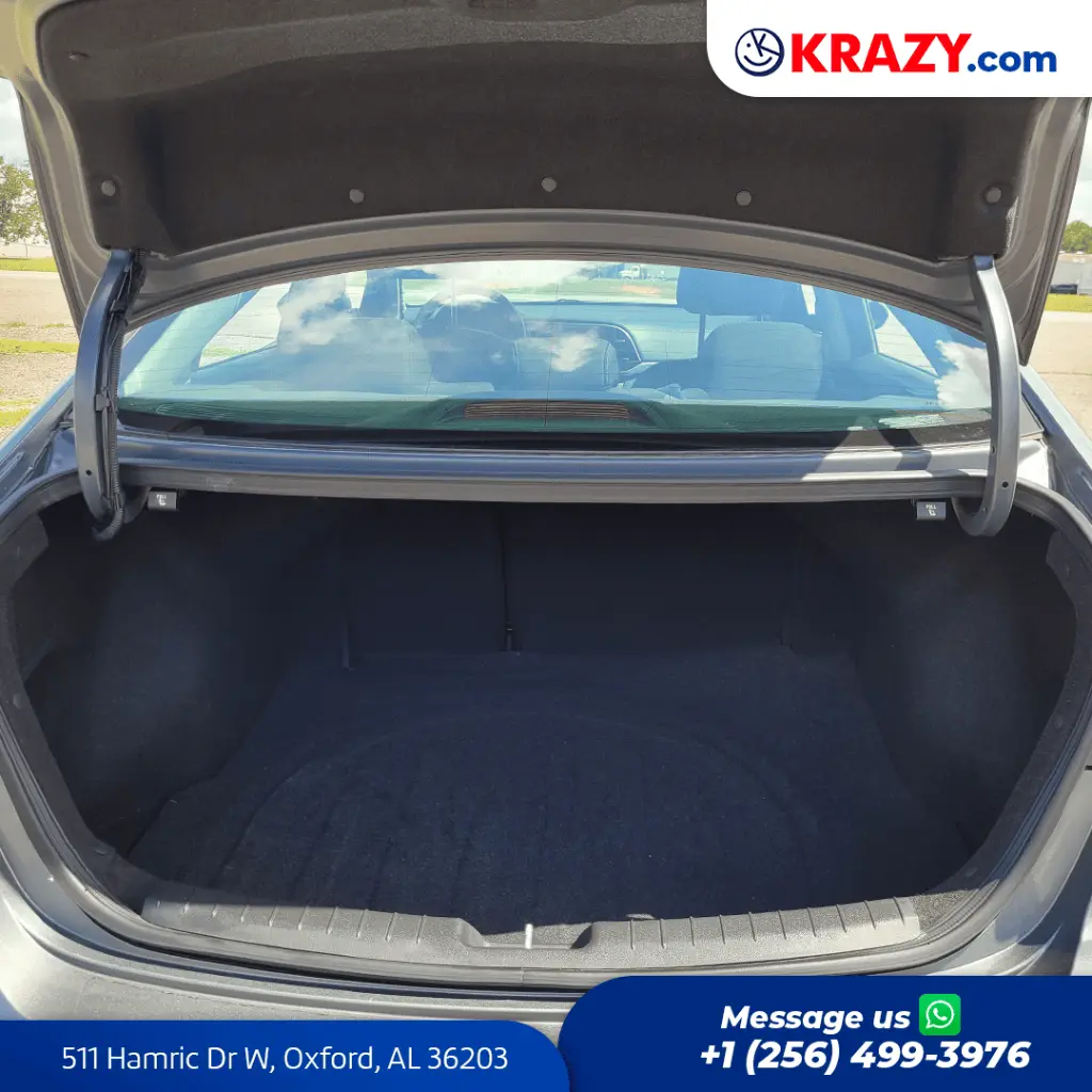 2388_4.1 Trunk.webp