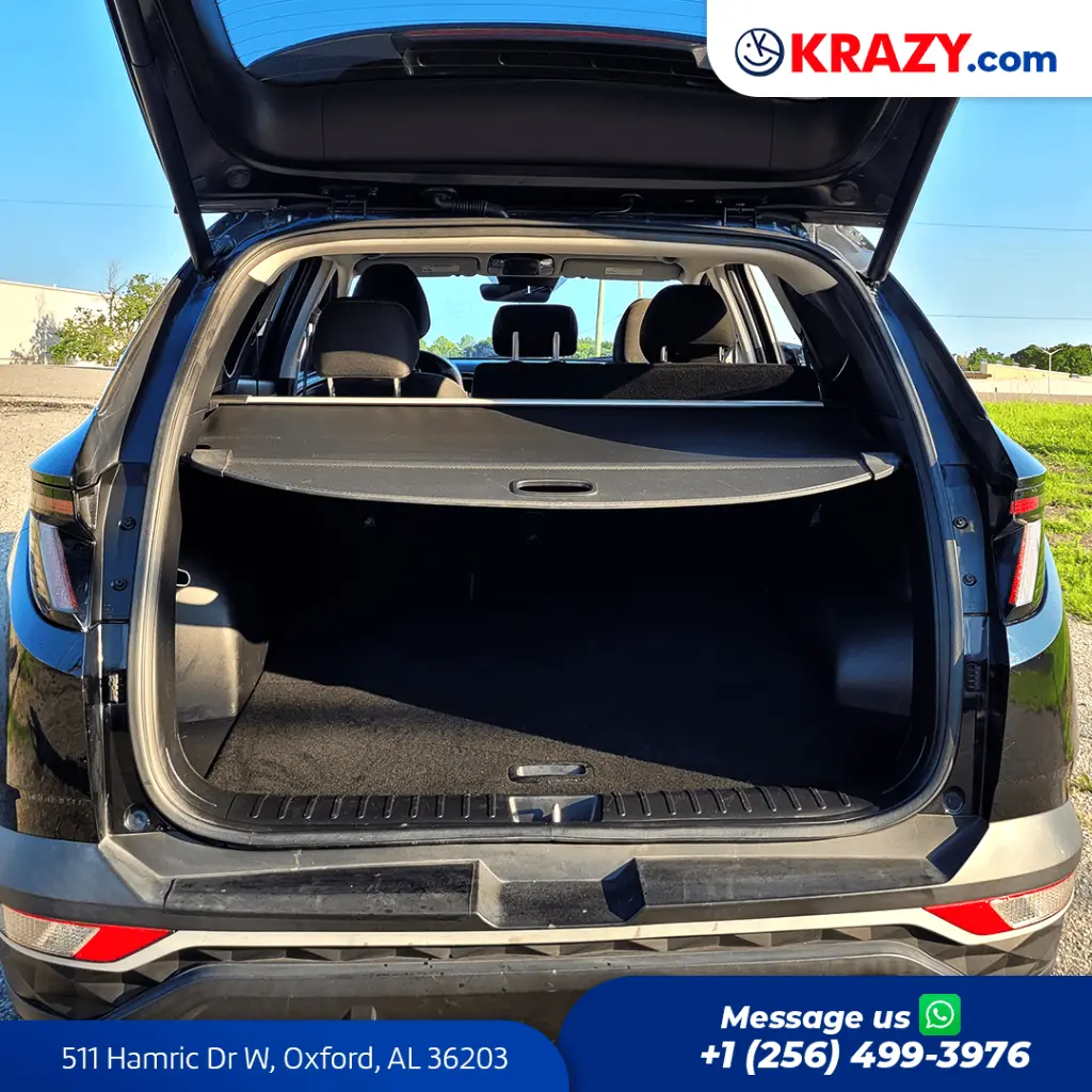 2400_4.1 Trunk.webp